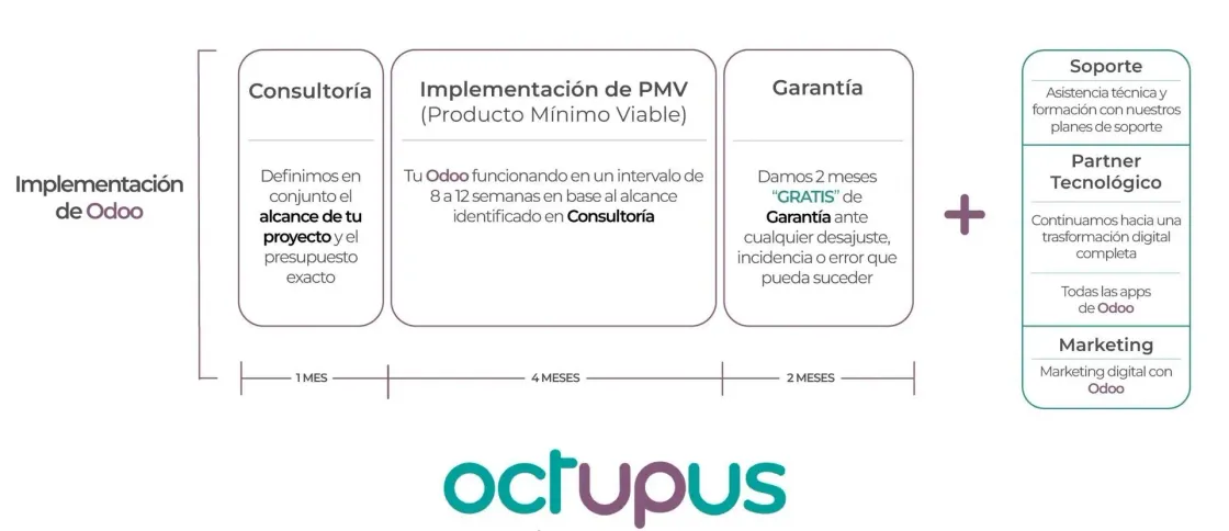 Infografía de los tiempos de implementación de Odoo con Octupus