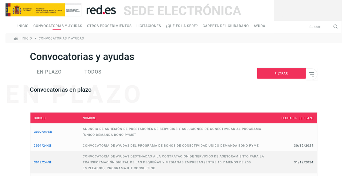 Página de sede.red.gob.es que e encuentra en la pestaña de Convocatorias y Ayudas