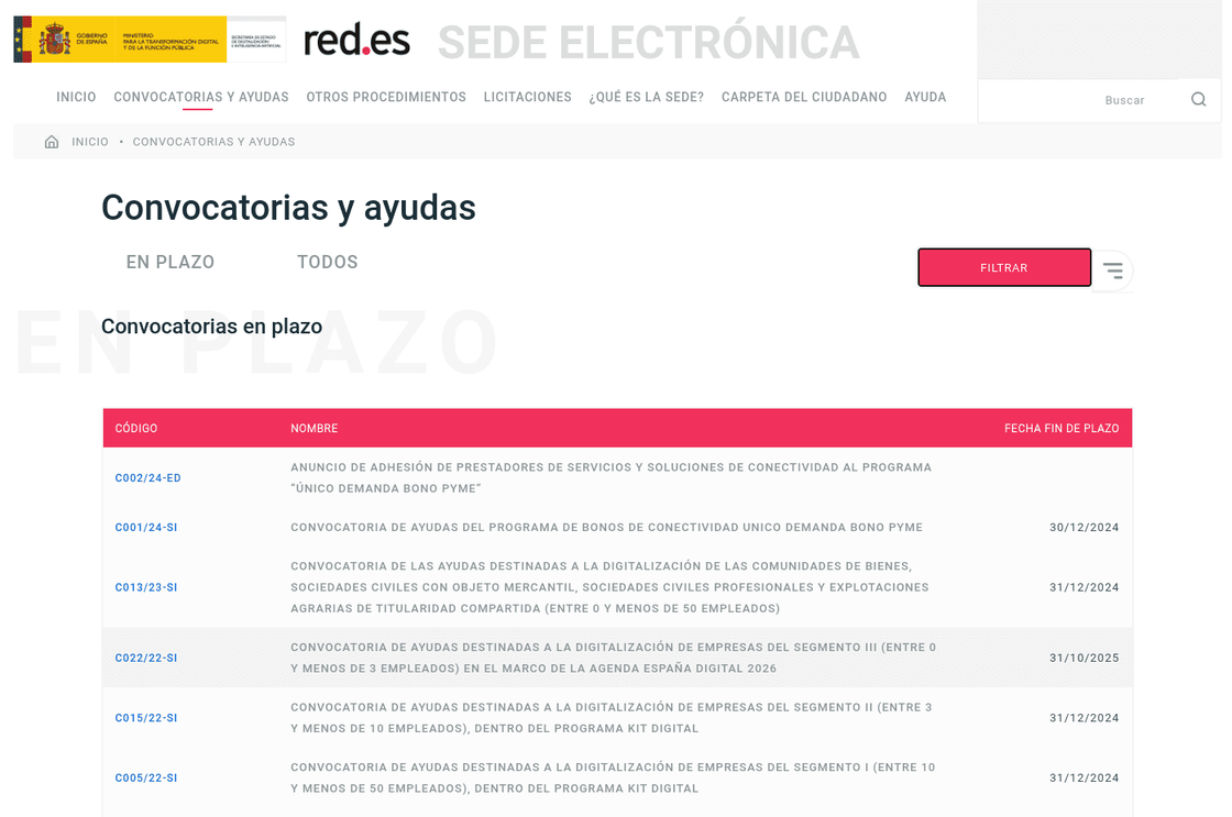 Página de sede.red.gob.es que e encuentra en la pestaña de Convocatorias y Ayudas