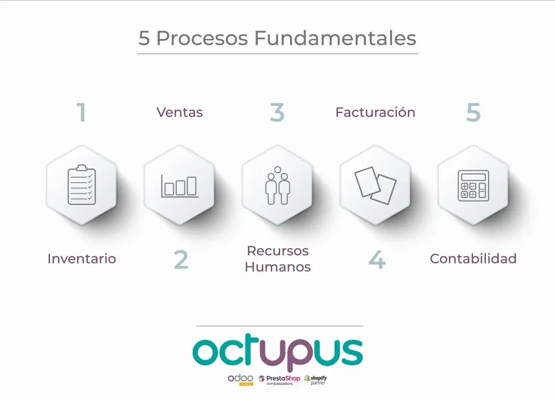 Infografía de los cinco procesos fundamentales de Octupus