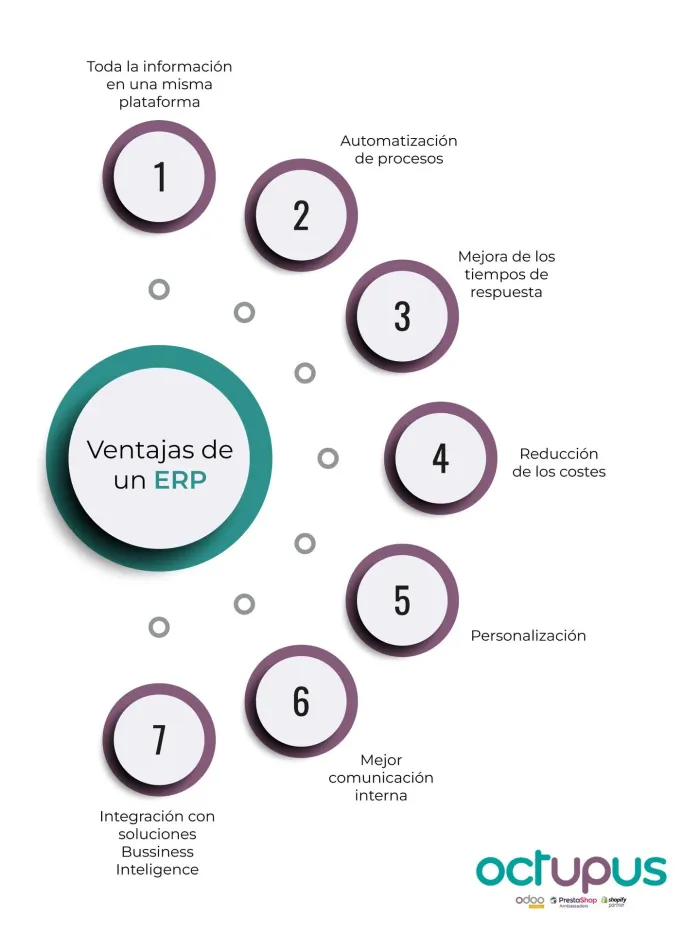 Infografía sobre las Ventajas de un ERP