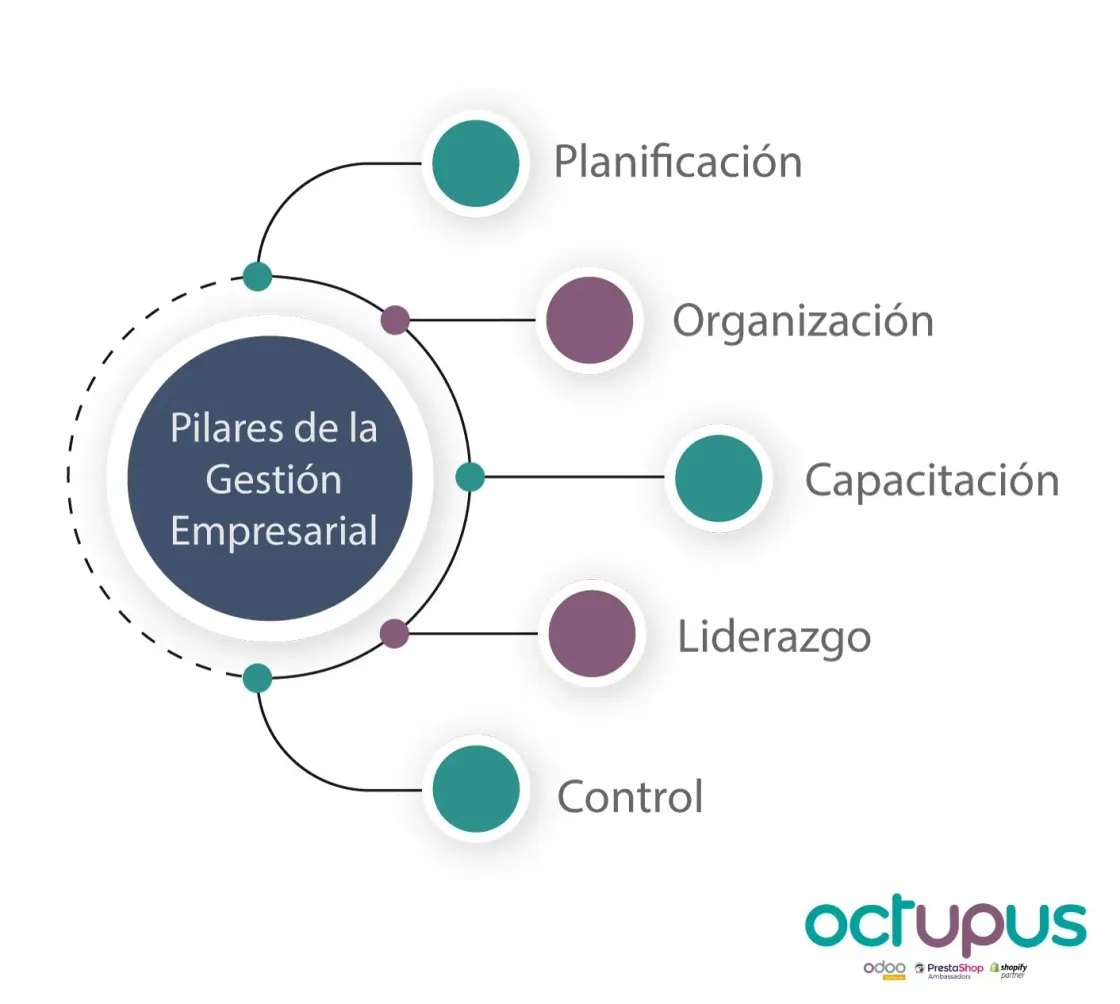 Infografía de los pilares de la gestión empresarial
