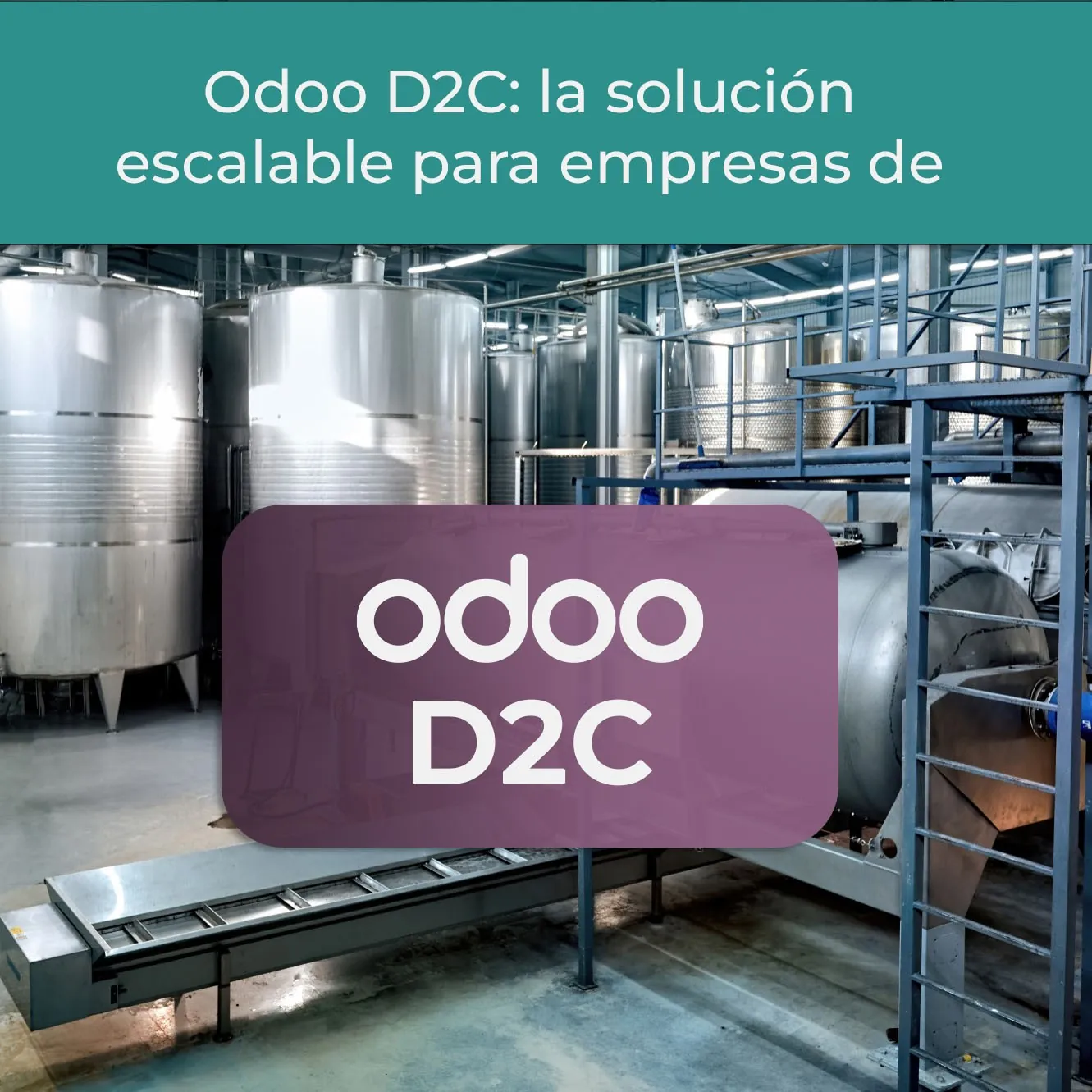 Odoo D2C : solución escalable para empresas de fabricación