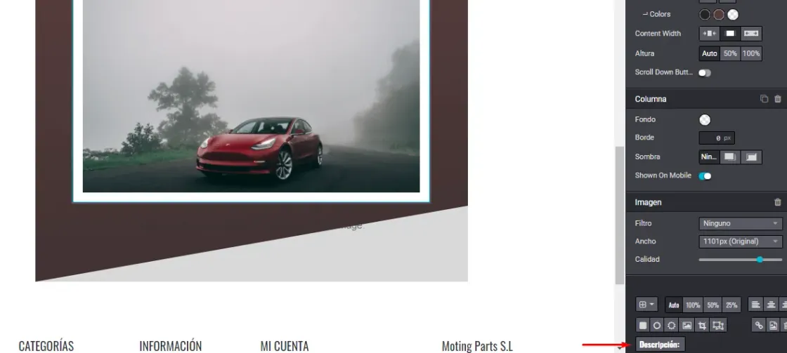 Captura de pantalla del módulo de Sitio Web sobre la edición de la imagen