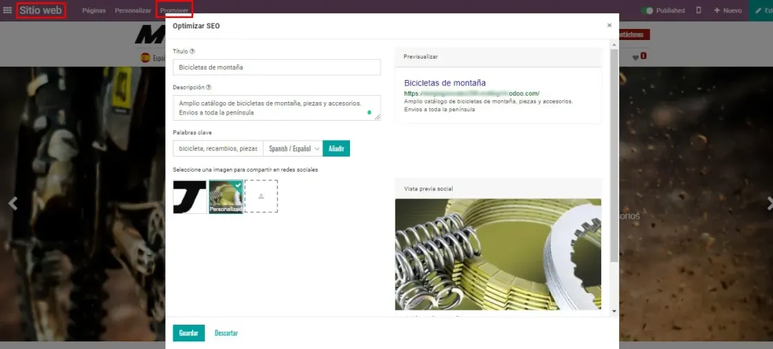 Captura de pantalla del módulo de Sitio Web sobre la optimización de SEO