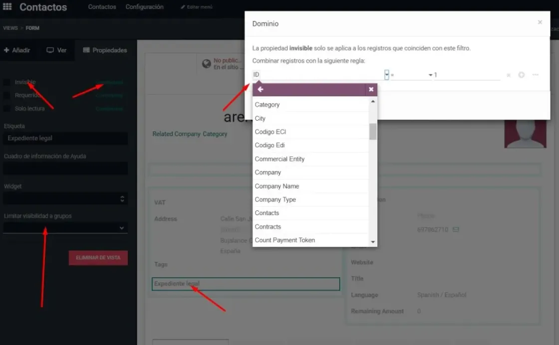 Filtros en Odoo Studio
