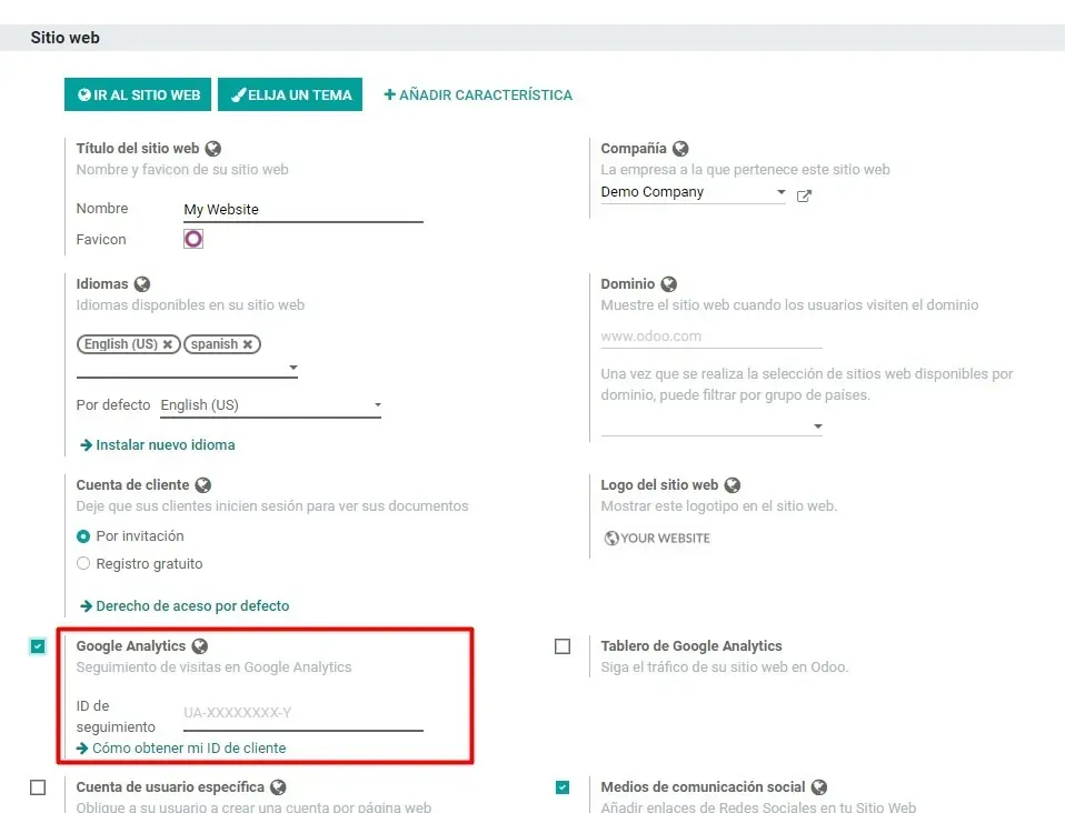 Captura de pantalla de los ajustes de Sitio Web para poner el Google Analytics