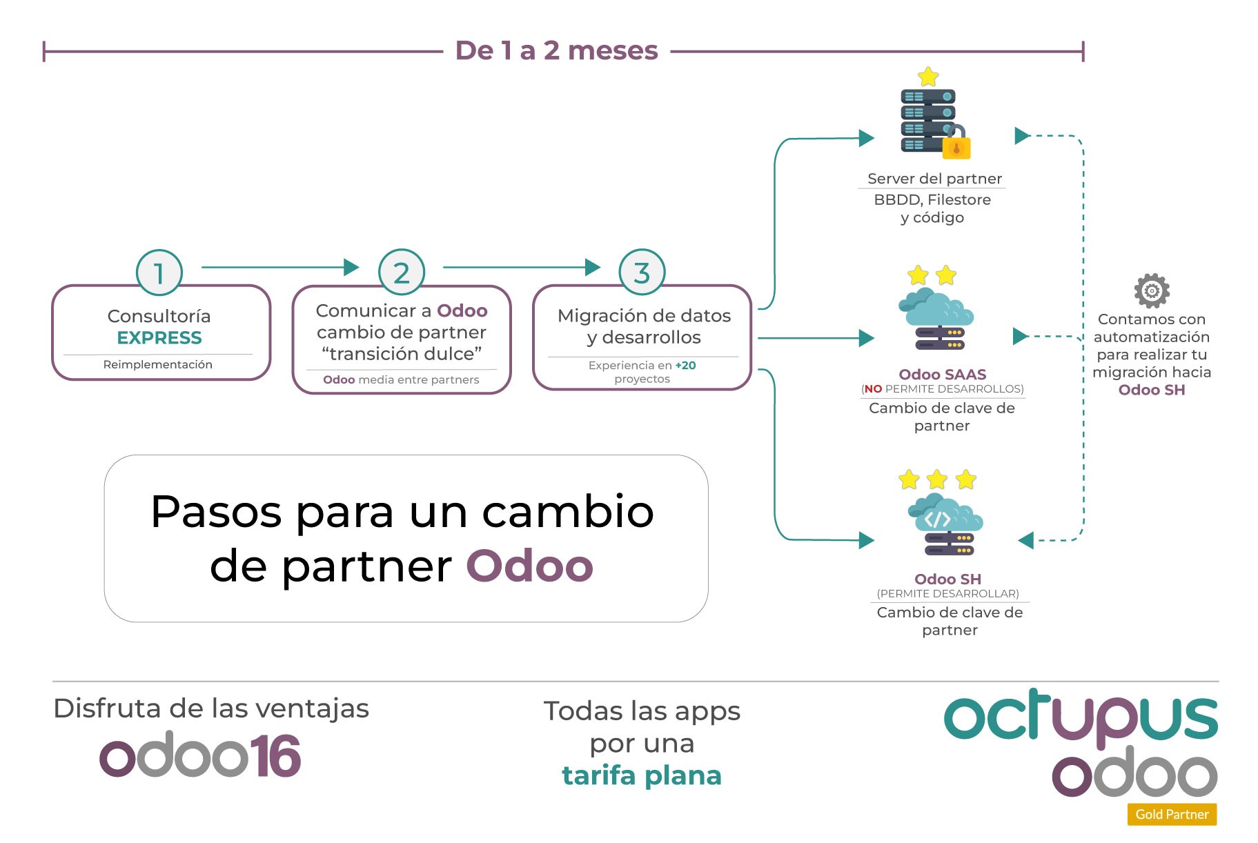 pasos-para-cambiar-de-partner-en-Odoo-Octupus-05
