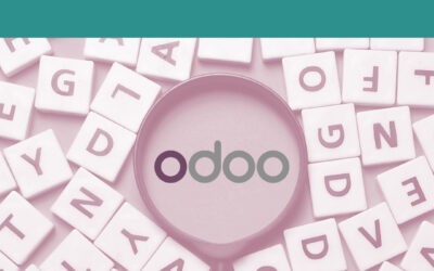 Qué es Odoo ERP y términos relacionados