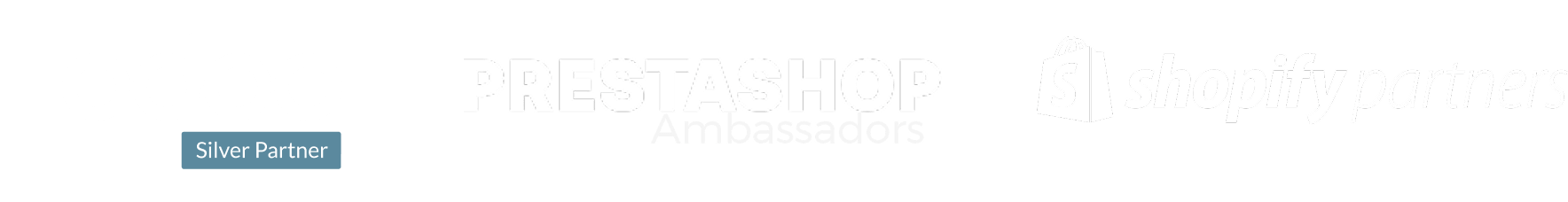 Group 55 Logo de Odoo Silver Partner, Prestashop Ambassadors y Shopify Partner en blanco