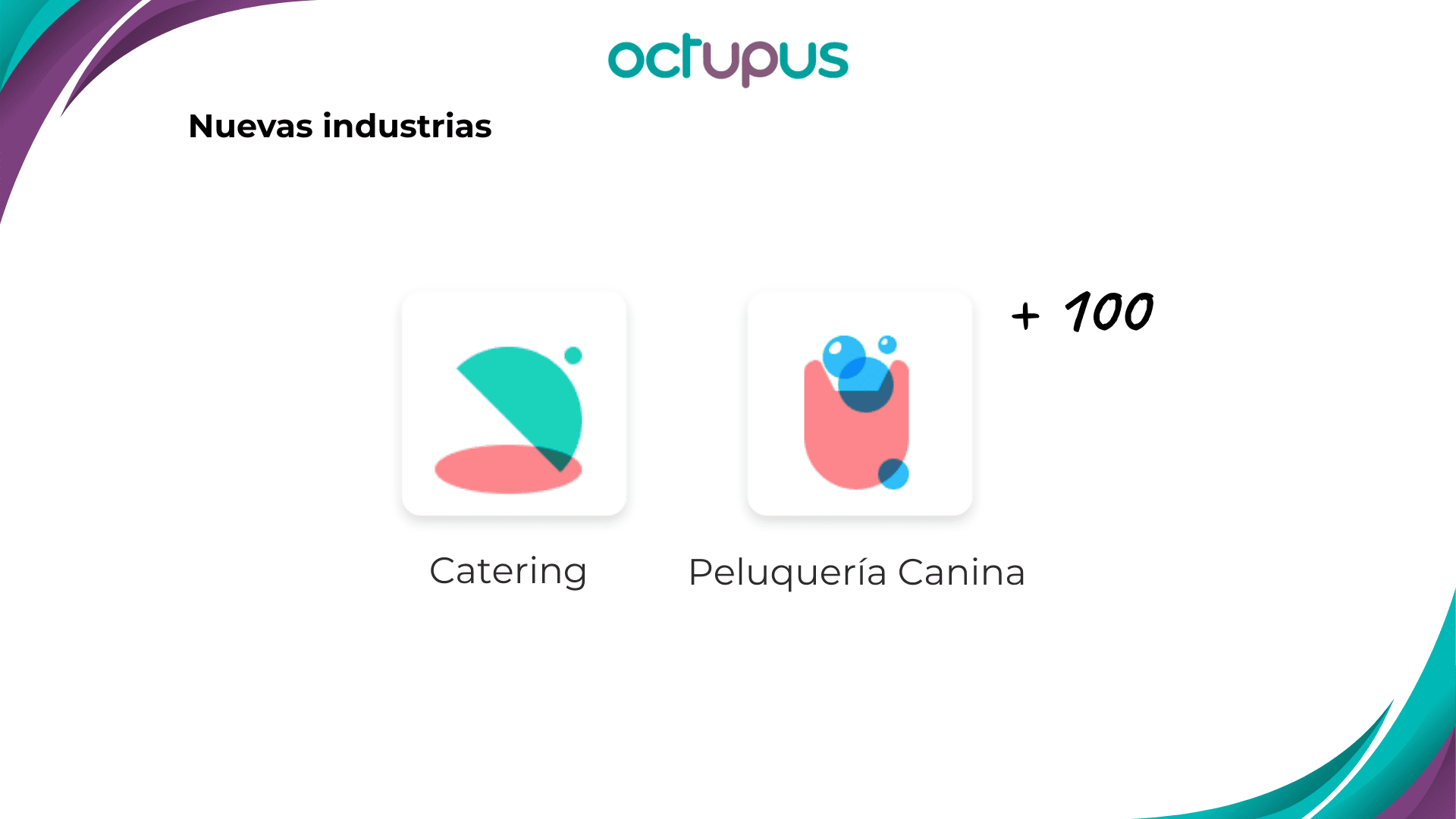 Ejemplo de nuevas industrias que vendrán en 2026 como la Peluquería Canina o el Catering